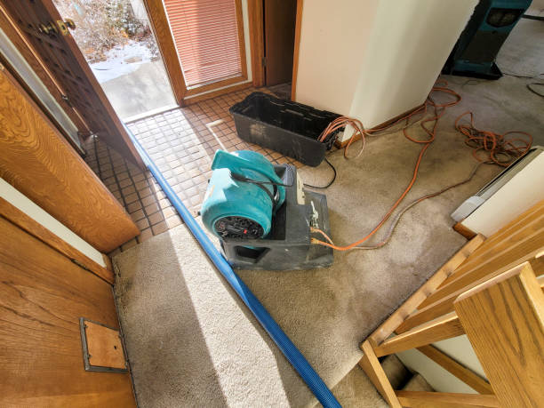 Trusted Patrick Af, FL Water damage restoration Experts